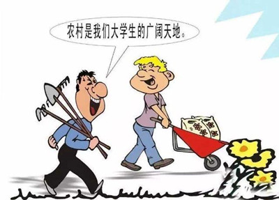 考公、考研難度高，應(yīng)屆生你還有4種選擇